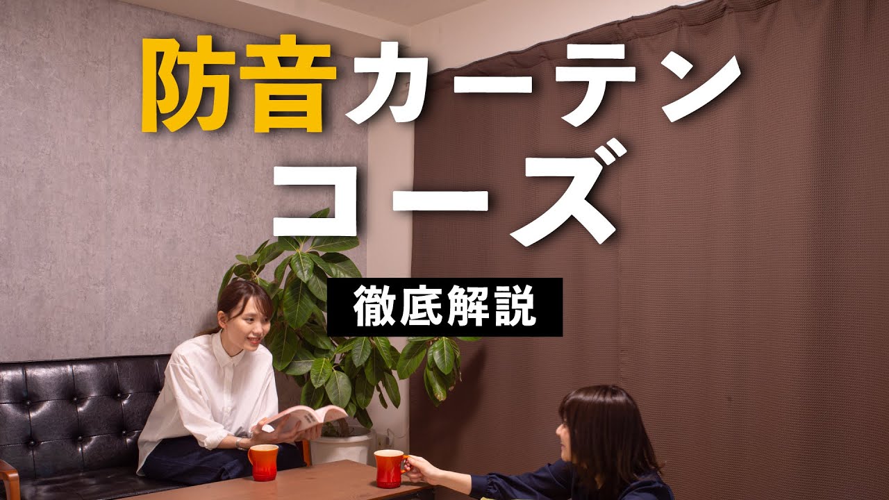 バーゲン! ピアリビング 防音カーテン コーズ両面仕様 5重構造 巾110