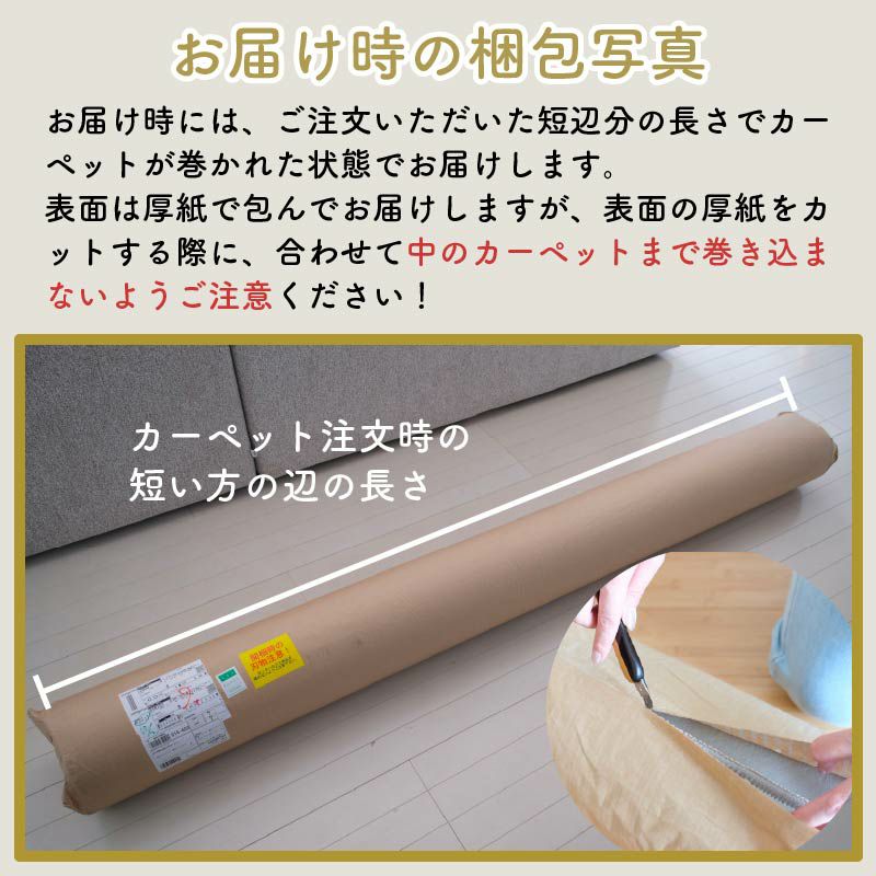サンコーラスについて