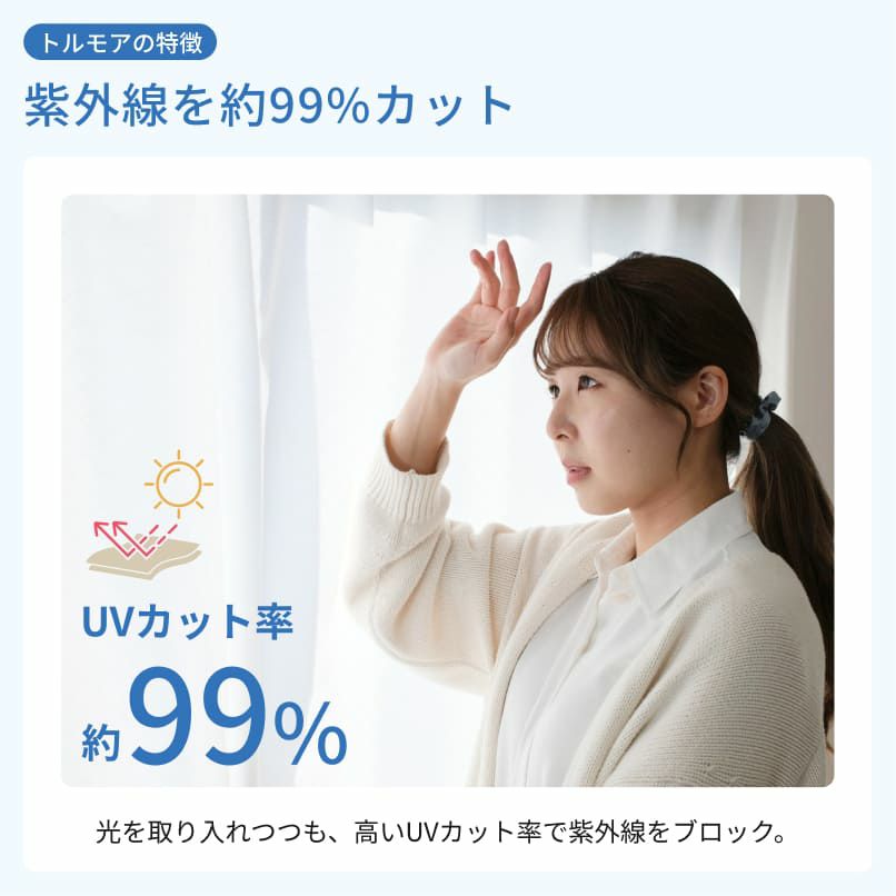 ピアリビング 防音ドアカーテン コーズ両面仕上げ+レースカーテン トルモア2枚 ピアリビング 防音ドアカーテン コーズ両面仕上げ+レースカーテン