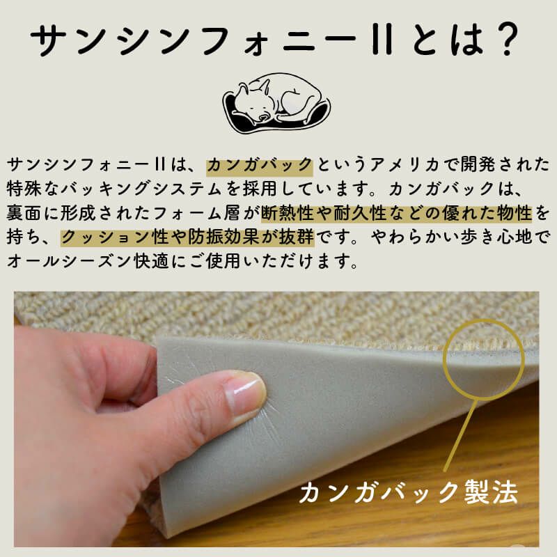 サンシンフォニー２とは