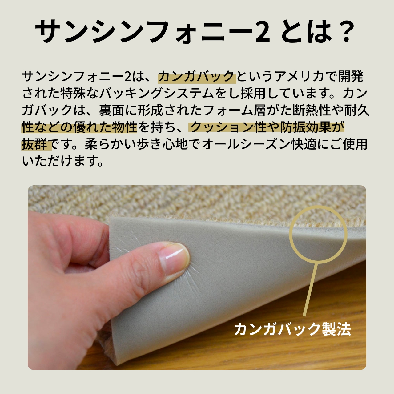 サンシンフォニー２とは