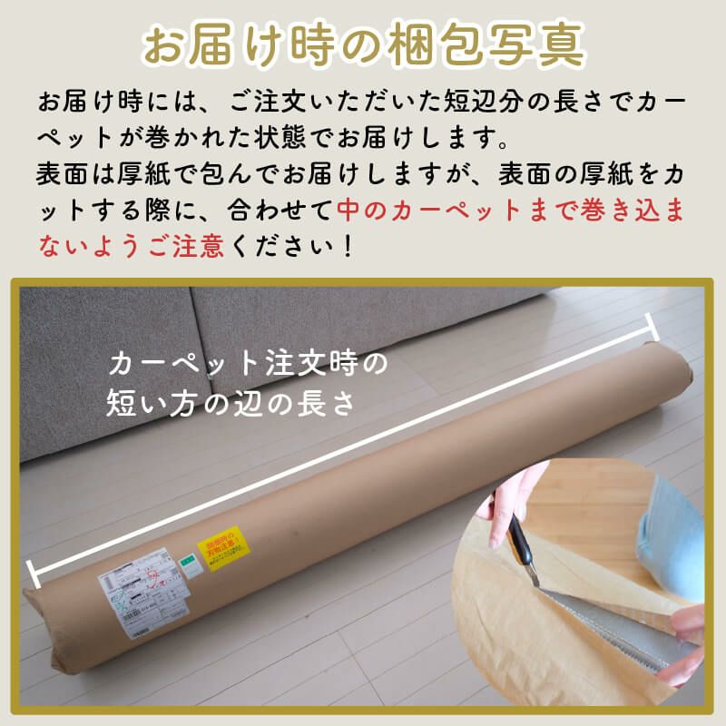 サンシンフォニー２について